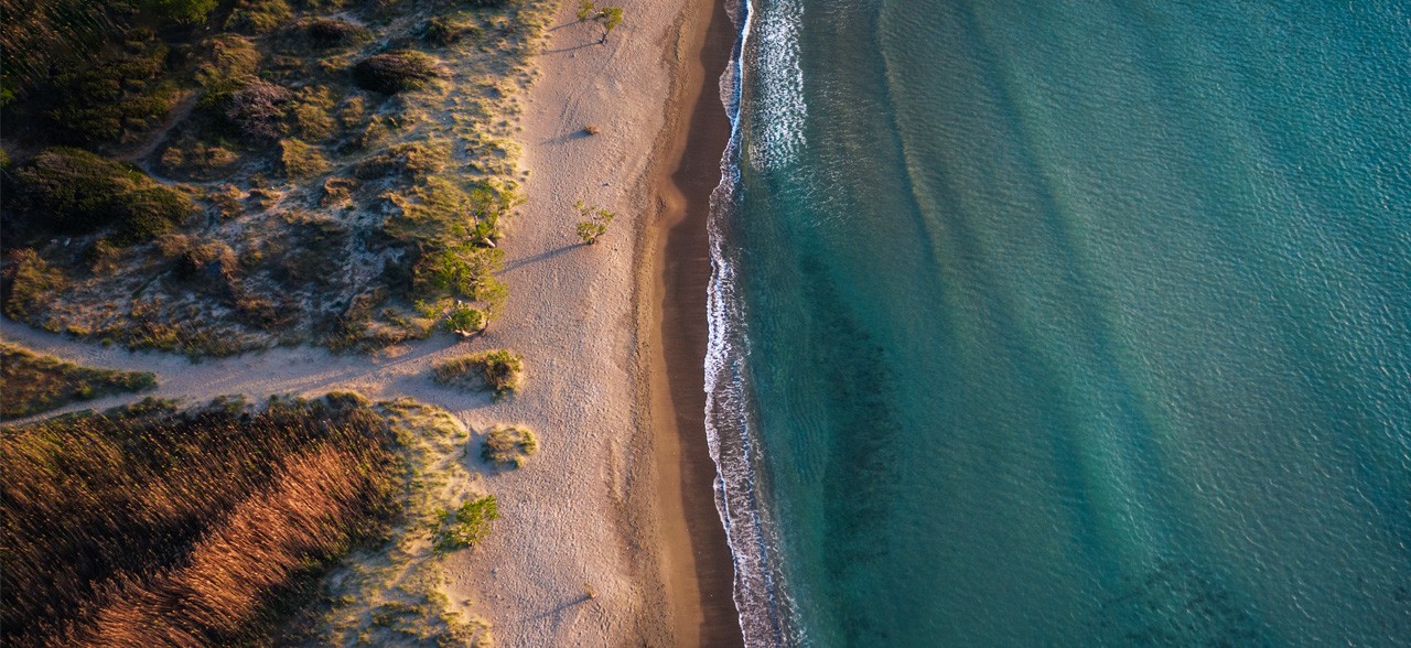 The Beach
